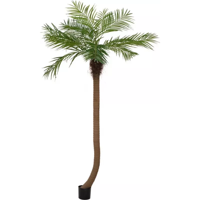 EUROPALMS Luxor gebogen kunstmatige phoenixpalm, 240 cm 82510726