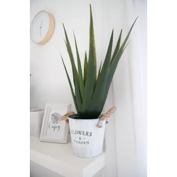 EUROPALMS kunstmatige aloë vera plant, 60 cm, zwarte pot 82600167
