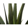 EUROPALMS kunstmatige aloë vera plant, 60 cm, zwarte pot 82600167