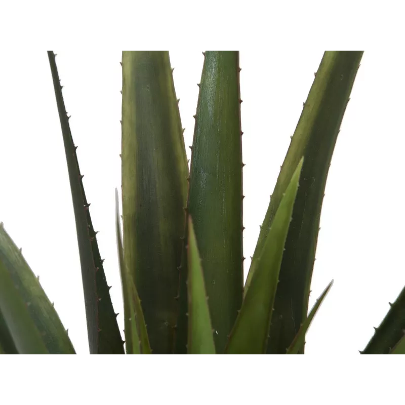 EUROPALMS kunstmatige aloë vera plant, 60 cm, zwarte pot 82600167