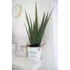 EUROPALMS kunstmatige aloë vera plant, 60 cm, zwarte pot 82600167