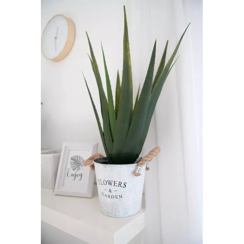 EUROPALMS kunstmatige aloë vera plant, 60 cm, zwarte pot 82600167