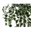 EUROPALMS Holland Ivy Hedge Screen Classic, kunstmatig, 60cm 82502210