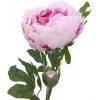 EUROPALMS Peony Branch Classic, kunstplant, roze, 80cm 82530210