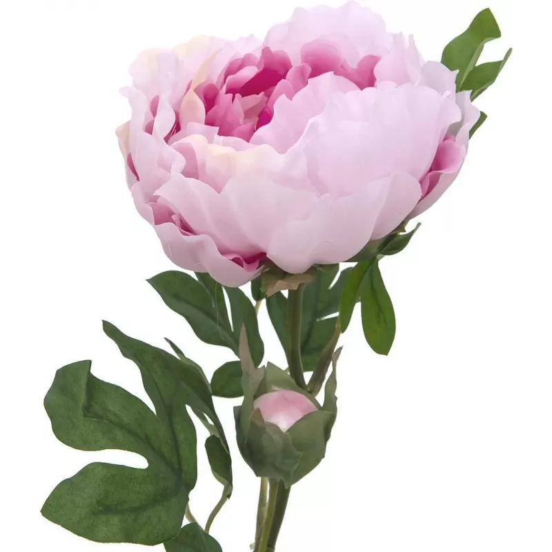 EUROPALMS Peony Branch Classic, kunstplant, roze, 80cm 82530210