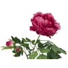 EUROPALMS Premium pioenroostak kunstplant, magenta, 100cm 82530221