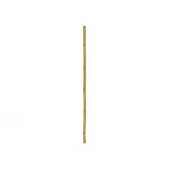 EUROPALMS bamboestok, Ø 5 cm, 200 cm 83313201