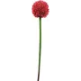 EUROPALMS kunstmatige alliumstengel, rood, 55cm 82530568