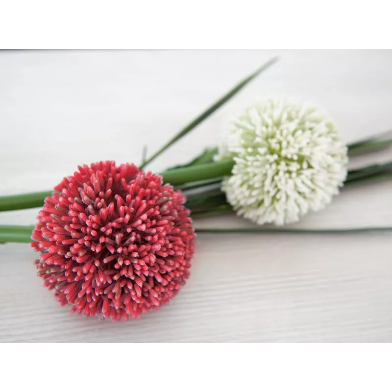 EUROPALMS kunstmatige alliumstengel, rood, 55cm 82530568