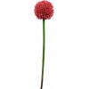 EUROPALMS kunstmatige alliumstengel, rood, 55cm 82530568