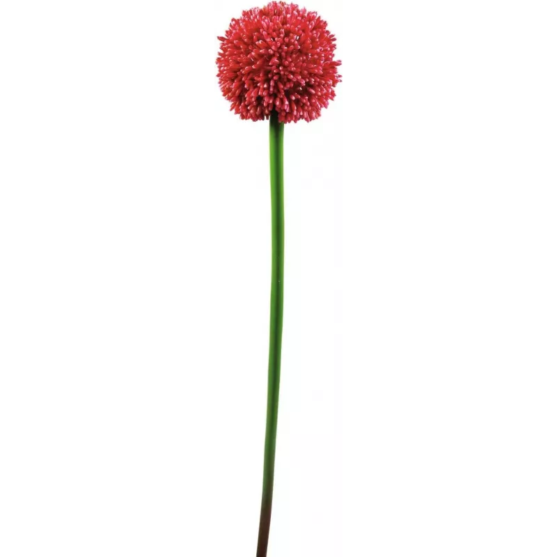 EUROPALMS kunstmatige alliumstengel, rood, 55cm 82530568