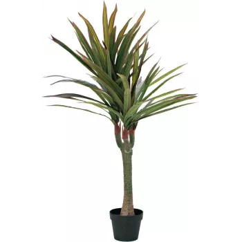 EUROPALMS kunstdracaena, 120 cm 82505779