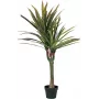 EUROPALMS kunstdracaena, 120 cm 82505779