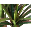EUROPALMS kunstdracaena, 120 cm 82505779
