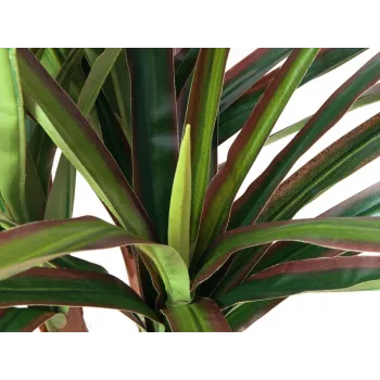 EUROPALMS kunstdracaena, 120 cm 82505779