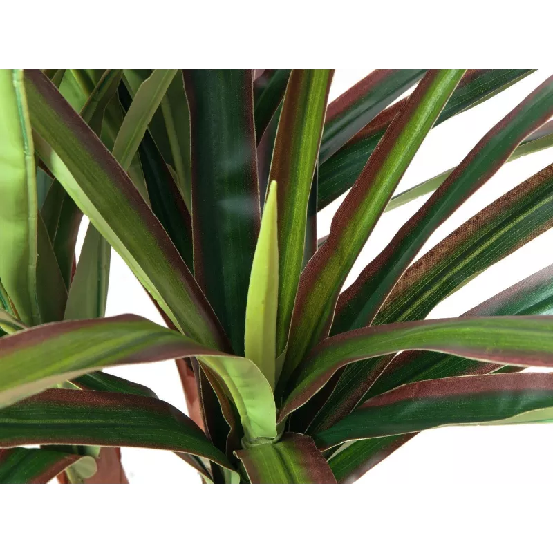 EUROPALMS kunstdracaena, 120 cm 82505779