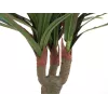 EUROPALMS kunstdracaena, 120 cm 82505779