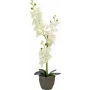 EUROPALMS orchidee kunstplant, crème, 80cm 82530361