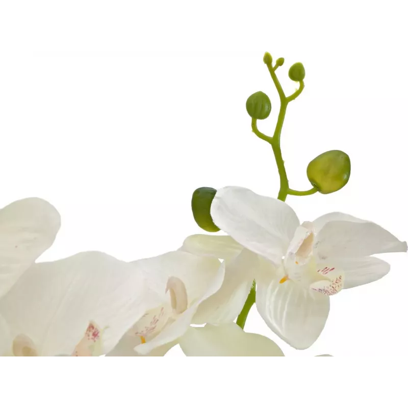 EUROPALMS orchidee kunstplant, crème, 80cm 82530361