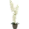 EUROPALMS orchidee kunstplant, crème, 80cm 82530361