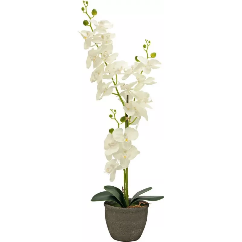 EUROPALMS orchidee kunstplant, crème, 80cm 82530361