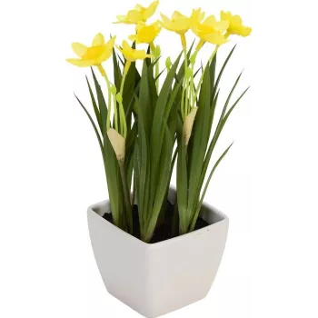 EUROPALMS kunstmatige narcis, 23 cm 82530542