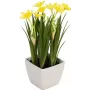 EUROPALMS kunstnarcis, 23 cm 82530542