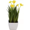 EUROPALMS kunstnarcis, 23 cm 82530542