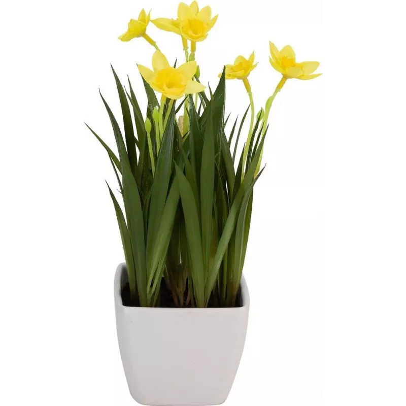 EUROPALMS kunstnarcis, 23 cm 82530542