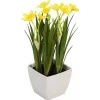 EUROPALMS kunstnarcis, 23 cm 82530542