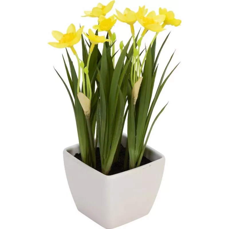 EUROPALMS kunstnarcis, 23 cm 82530542