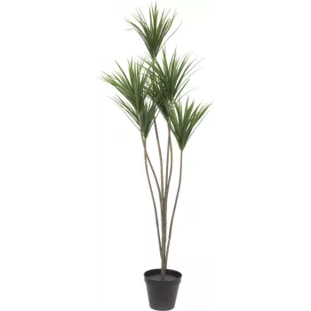 EUROPALMS yucca-palm kunstplant, 130cm 82511552