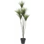 EUROPALMS yucca-palm kunstplant, 130cm 82511552