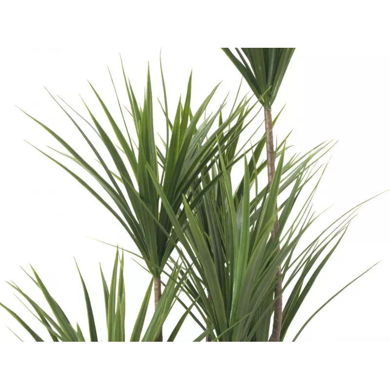 EUROPALMS yucca-palm kunstplant, 130cm 82511552