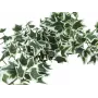 EUROPALMS Holland Ivy Bush Screen Classic, kunstmatig, 70cm 82502211
