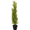 EUROPALMS Leyland-cipres kunstplant, 90cm, zwarte pot 82606962