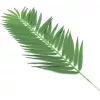 EUROPALMS kunstmatige kokospalmbladeren, 90 cm, 12 stuks, groen 82509896