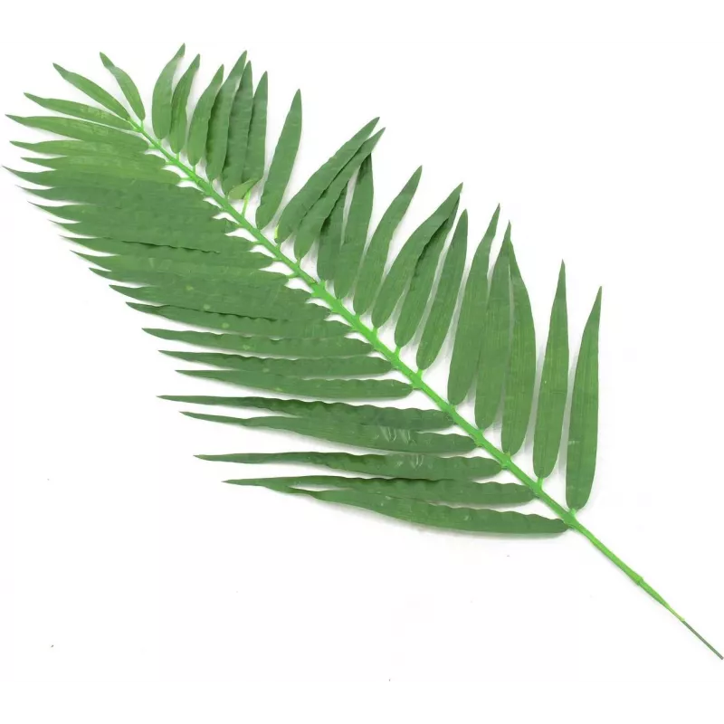 EUROPALMS kunstmatige kokospalmbladeren, 90 cm, 12 stuks, groen 82509896