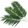 EUROPALMS kunstmatige kokospalmbladeren, 90 cm, 12 stuks, groen 82509896