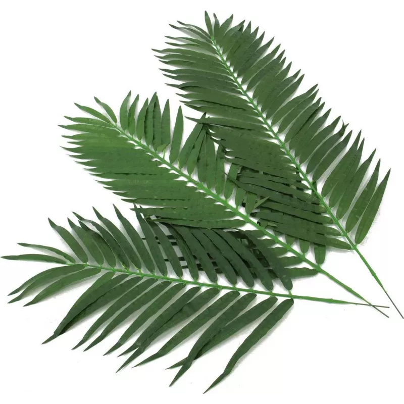 EUROPALMS kunstmatige kokospalmbladeren, 90 cm, 12 stuks, groen 82509896