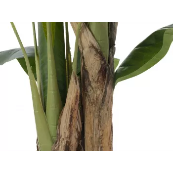 EUROPALMS kunstmatige bananenboom, 120cm, realistische groene bladeren, zwarte pot 82509537