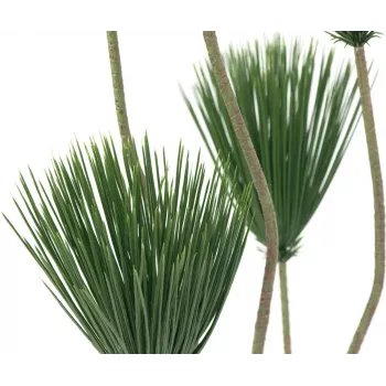 EUROPALMS papyrus kunstplant, 130 cm 82600235