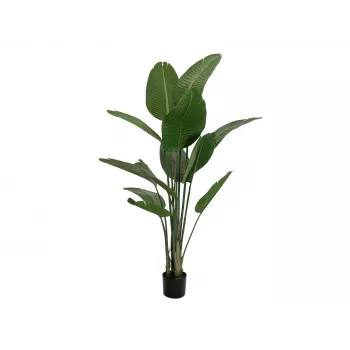 EUROPALMS kunststrelitzia, 170 cm 82540523