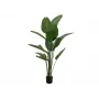 EUROPALMS kunststrelitzia, 170 cm 82540523