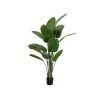 EUROPALMS kunststrelitzia, 170 cm 82540523