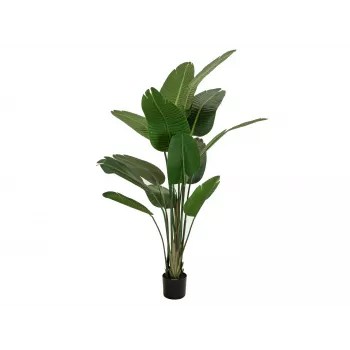 EUROPALMS kunststrelitzia, 170 cm 82540523