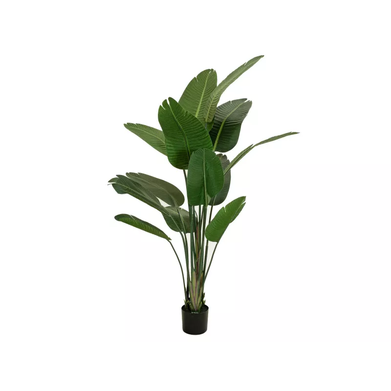 EUROPALMS kunststrelitzia, 170 cm 82540523