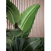 EUROPALMS kunststrelitzia, 170 cm 82540523