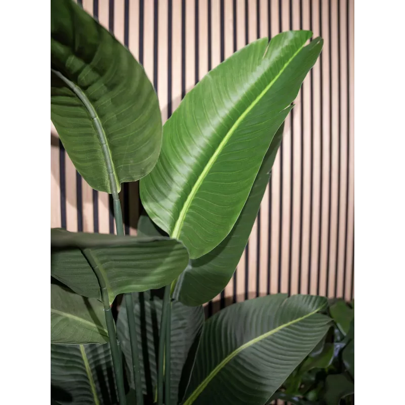 EUROPALMS kunststrelitzia, 170 cm 82540523