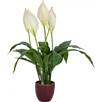 EUROPALMS kunstlepelplant, 60 cm 82505660